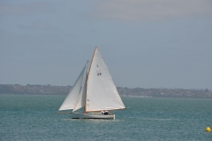 DSC_2823